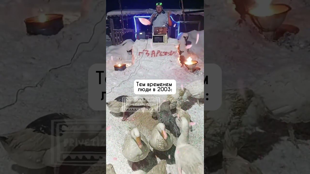 Видеопоздравления вышли на новый уровень #видеопоздравления #сднемрождения #поздравление #bday смотреть онлайн