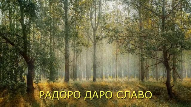РАДОРО ДАРО СЛАВО исцеляющая музыка ,RADORO DARO SLAVO healing music смотреть онлайн