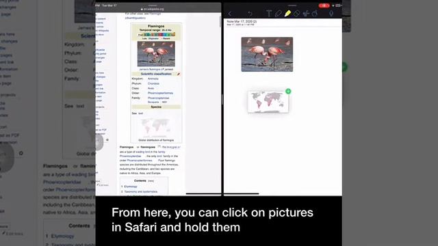 Learn how to split view on your iPad смотреть онлайн