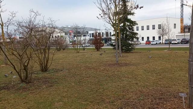 Так зимой в Германии | Бавария смотреть онлайн