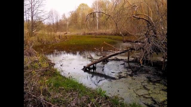Welcome to Алефино #умирающее село смотреть онлайн