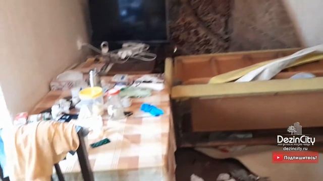 Что случится, если не травить клопов и тараканов смотреть онлайн