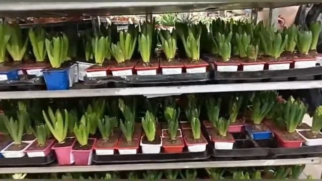 Обзор OBI МЕГА Белая Дача. Часть 2 смотреть онлайн