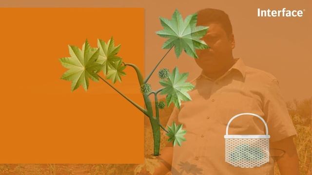 Carpet tiles made from plants - Introducing Fotosfera смотреть онлайн