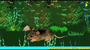 Сова охотится. Детям о совах.