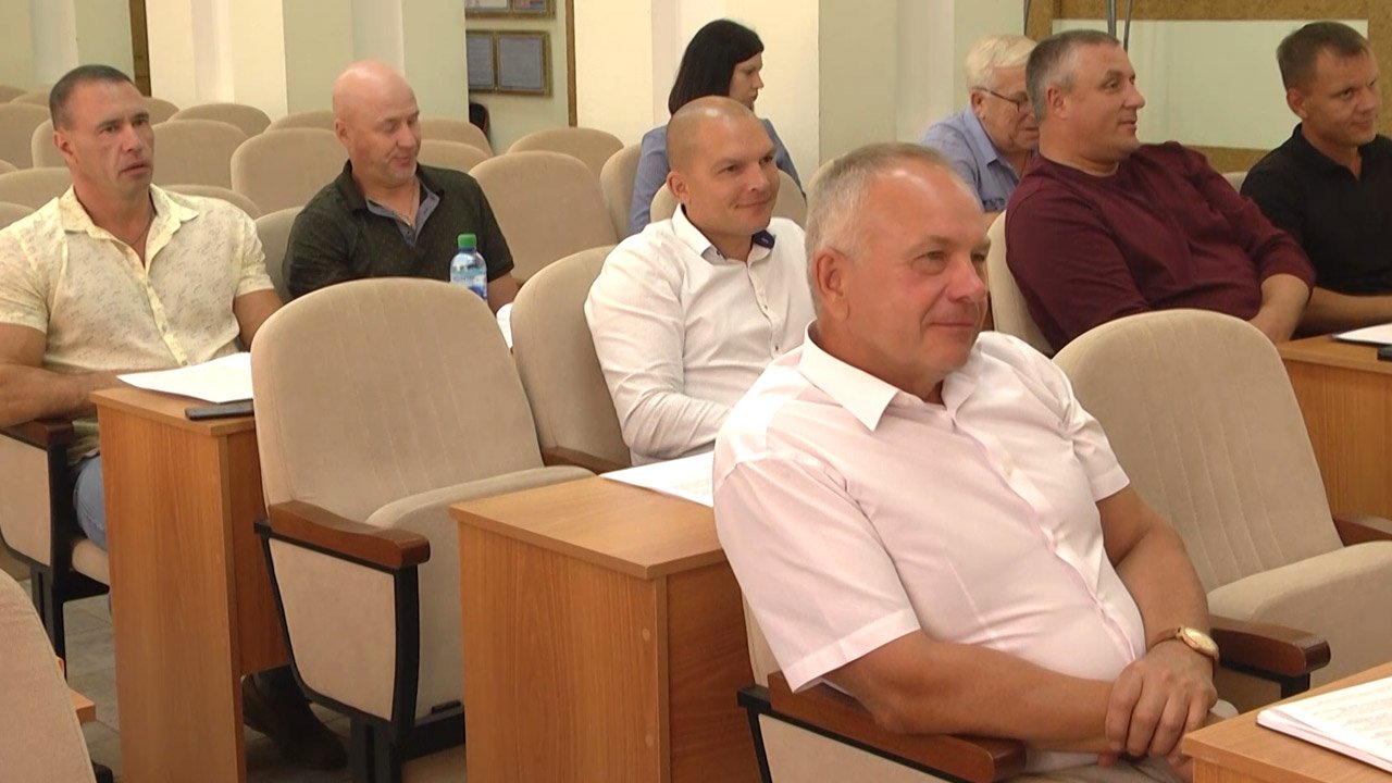 Городские депутаты утвердили границы ТОСов смотреть онлайн
