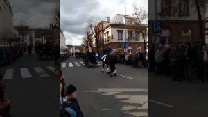 Парад лошадей  2017