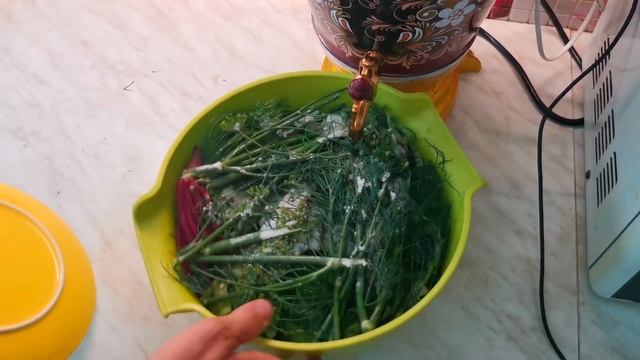 Новая еда. Что делать с чесночными стрелками Маринованная ботва свеклы,чесночные стрелки смотреть онлайн