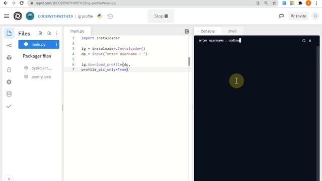 Download INSTAGRAM profile using Python смотреть онлайн