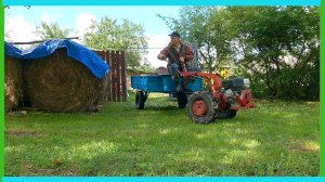 Сплошная борьба: за урожай и за сено! Деревенские будни «мокрого» августа!