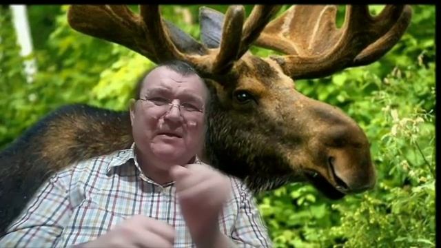 Самое интересное ✓001. Хочу знать о лоси. смотреть онлайн