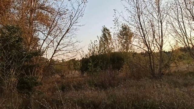 Солнечное затмение 14 октября 2023.В чем опасность. Что делать нельзя. смотреть онлайн