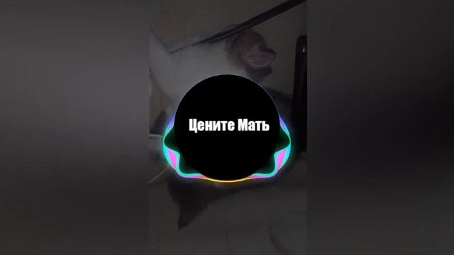 Динар Рахматуллин - Шаг за шагом год за годом