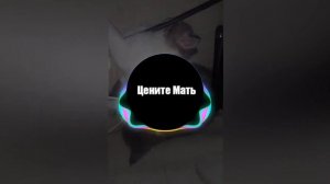 Динар Рахматуллин - Шаг за шагом год за годом