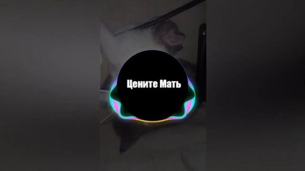 Динар Рахматуллин - Шаг за шагом год за годом