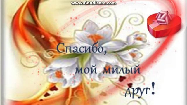 Любимым друзьям ПОСВЯЩАЕТСЯ. смотреть онлайн