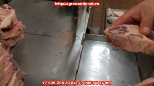 Пила для нарезки мяса, ленточная, настольная