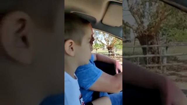 Зоопарк сафари Израиль смотреть онлайн