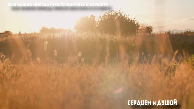 Как важно иногда просто молчать и слушать - читает СЕРДЦЕМ и ДУШОЙ смотреть онлайн