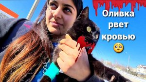 Что случилось с Оливкой  Луна стала есть! Победили Энтерит?