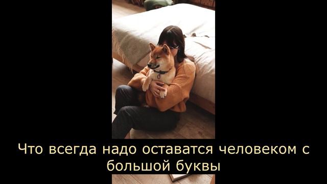 Доброта как источник здоровья и молодости! смотреть онлайн