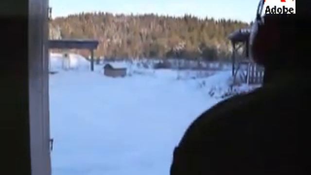 Skyting med Taurus Raging Bull .454 Casull смотреть онлайн