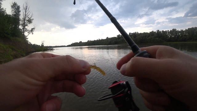 ЧЕХОНЬ на резину. Поклевки одна за одной. смотреть онлайн