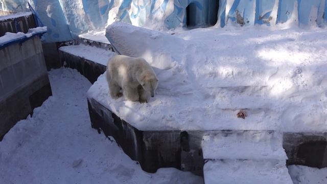 Кай и Герда 11 03 2021 смотреть онлайн