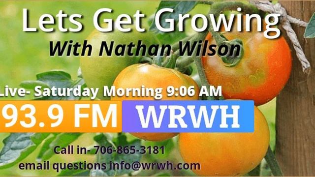 Let's Get Growing #6 [AUDIO] смотреть онлайн