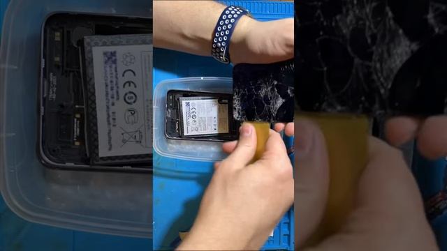Замена дисплея на TCL 10 SE #repair #lcd #ремонт #tcl #тамбов #рекомендации #рек #реки #on #fyp смотреть онлайн