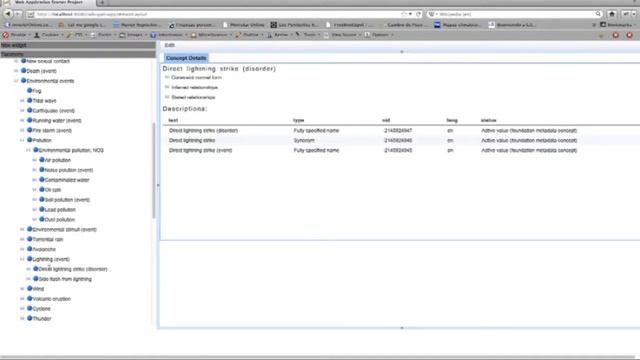 Browsing the IHTSDO Workbench from a Web Client смотреть онлайн