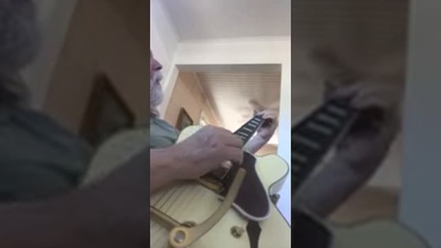 Freddie Fry “ Gibson Memphis ES 355 Mono Bigsby смотреть онлайн