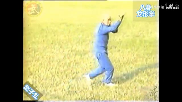 Старое видео 1985 г., багуа лунсин чжан (八卦龙形掌),  мастер - Чжао Цзицю (赵子虬), 81 год.