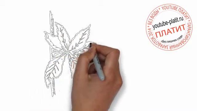 Как нарисовать лист пальмы поэтапно простым карандашом смотреть онлайн