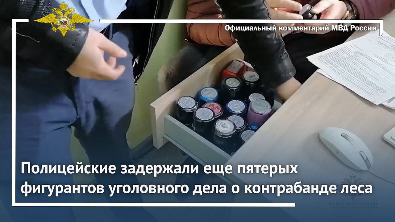 Ирина Волк: Полицейские задержали еще пятерых фигурантов уголовного дела о контрабанде леса смотреть онлайн