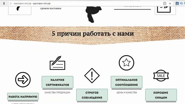 Учимся вместе создавать продающий landing-page по опту картофеля | Артём Бахтин смотреть онлайн