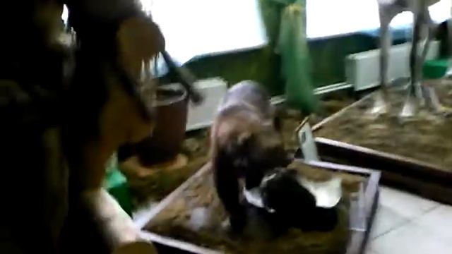 Музей Северо-енисейска смотреть онлайн