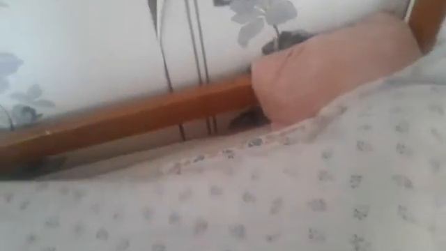 мой брат алкаш смотреть онлайн