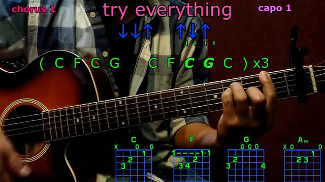 try everything shakira guitar chords смотреть онлайн