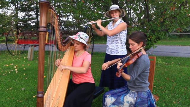 Auld Lang Syne - Harp, Violin & Flute Trio