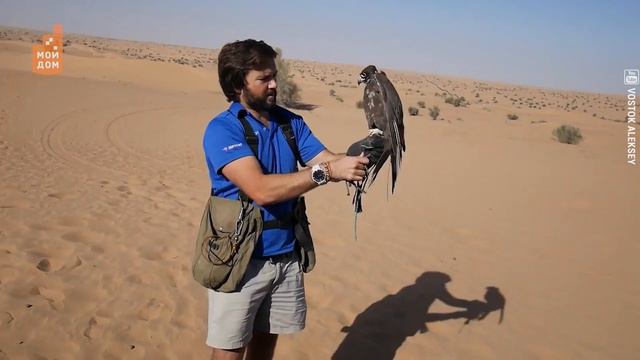 Скажи, караванщик: когда же вода? Как со вкусом и недорого отдохнуть в пустыне? смотреть онлайн