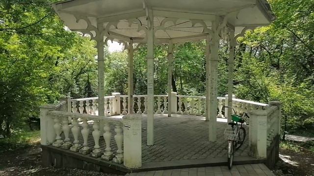 Накипело. Прогулка по Ессентукам и монолог о спасении животных.