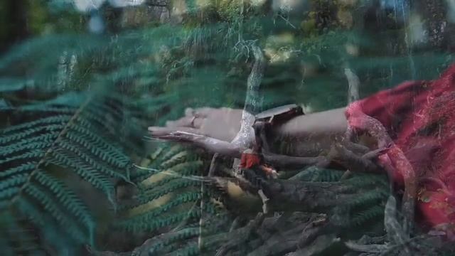 медитация для начинающих / фоновая музыка для сна смотреть онлайн