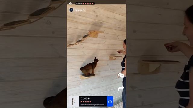 Видео инструкция "Как приучить кошку к игровому комплексу" смотреть онлайн