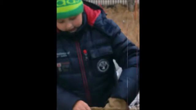 проект про птиц смотреть онлайн