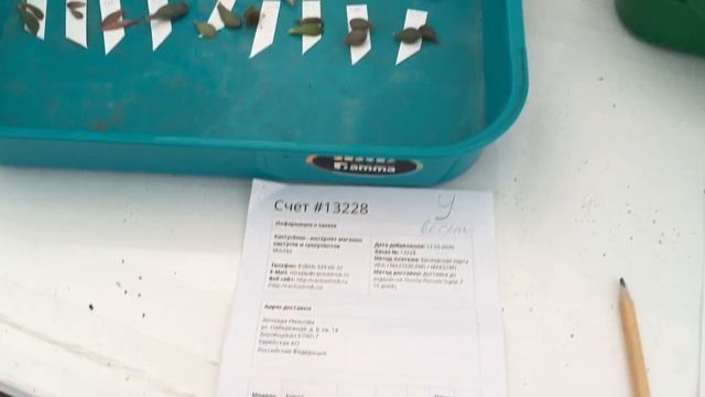 Что нужно знать, если делаешь заказ впервые на сайте питомника Кактусёнок.рф .