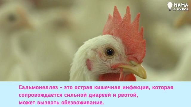 Осторожно! Эти продукты нельзя есть во время беременности смотреть онлайн