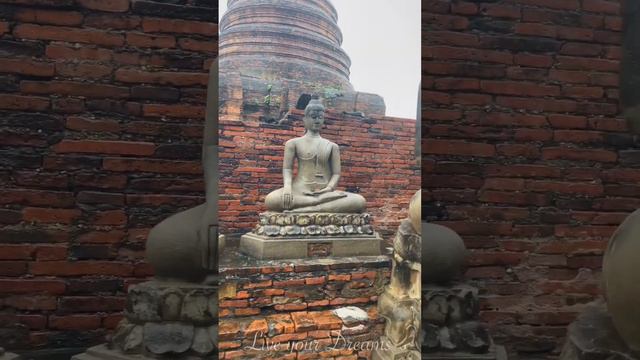 Ayutthaya bajo la lluvia 🧘🏽♂️☔️ Capital del reino de Siam 🛕Asia 🌏 Oriente 📹 4K #ayutthaya смотреть онлайн