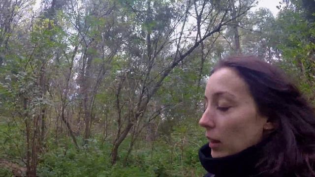 Mabon Walk in the Woods смотреть онлайн