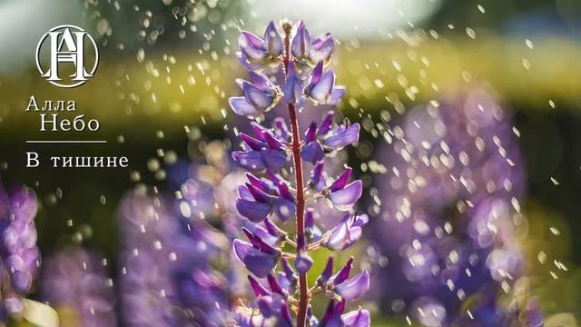 Alla Nebo - V tishine смотреть онлайн